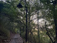 -雨花胜境
