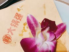 -大锅强·蒸海鲜青岛菜(城市阳台店)