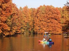 -上海海湾国家森林公园