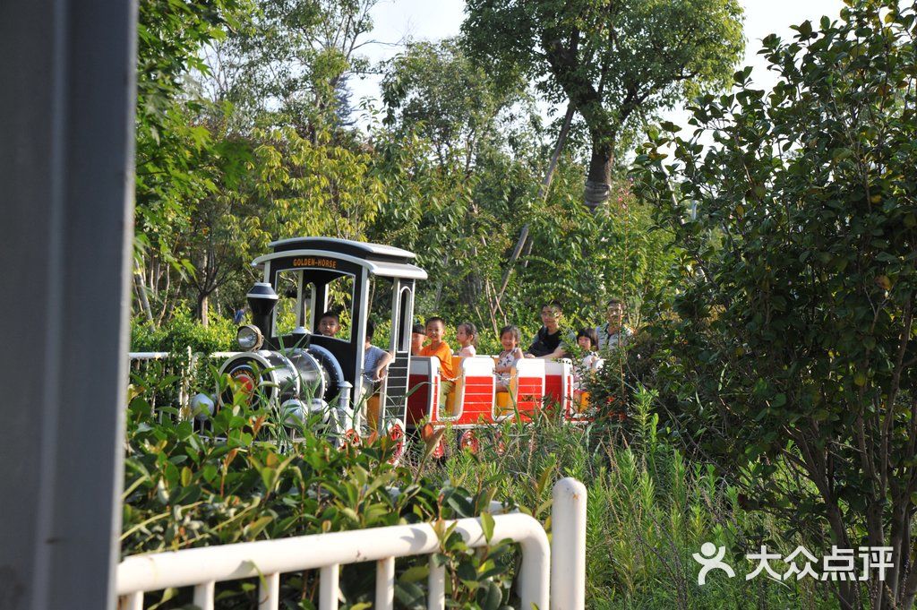 上海歡樂谷小火車圖片 - 第256張