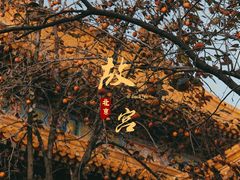 -故宫博物院(故宫)