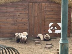 -茅山东方盐湖城景区