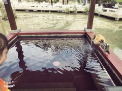 -凤翔首邑温泉度假村