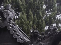 -秋霞圃