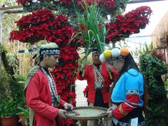 游乐设施-优游吧斯邹族文化部落