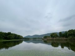 -长广溪湿地公园