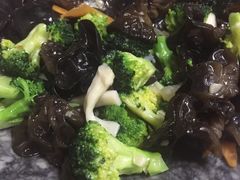 -青岛锅贴(四流中路店)