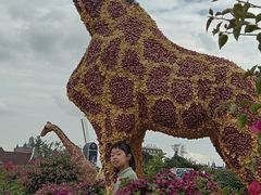 -荷兰花海