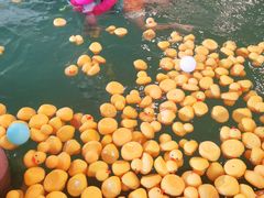 -水王国温泉水世界