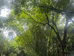 -深圳海景嘉途酒店(东翼楼)