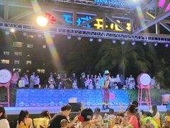 -渔家火锅·海鲜自助餐·演艺(亚龙湾天域酒店)
