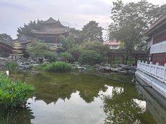 -顺峰山公园