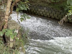 -同里国家湿地公园