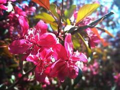 -长春公园(普阳街道)