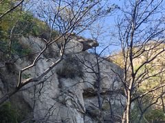 -大岭沟猕猴桃谷风景区