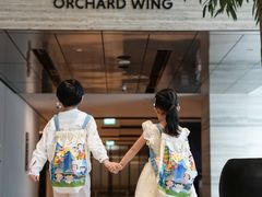 -新加坡乌节希尔顿酒店 (SG Clean)