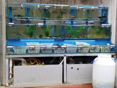 -富临港·蒸汽海鲜·手抓海鲜·炒菜(栈桥店)