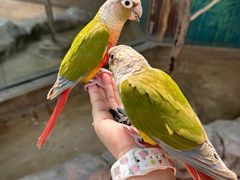 -石家庄市动物园