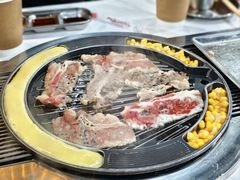 -山野的朋友露营炭火烤肉