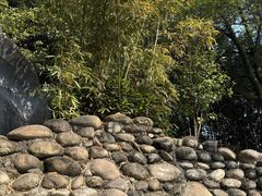 -三江森林温泉度假区