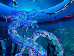 -海合安青岛极地海洋公园