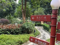 -英德宝晶宫天鹅湖茶语温泉