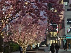 -中粮·祥云小镇