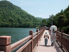 -桃花岭景区