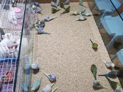 -鹏欣水游城