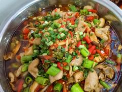 -食神又名厕所兔