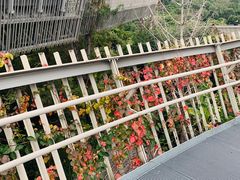 -梅峰山地公园