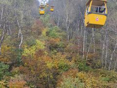 -野三坡百草畔景区