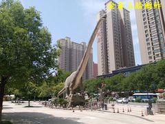 -陕西自然博物馆