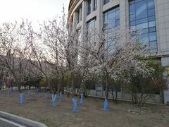 -哈工程图书馆