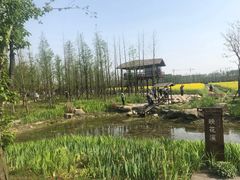 -长田漾湿地公园