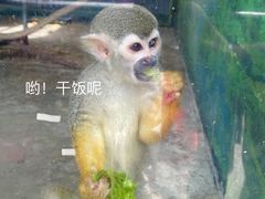 -南宁市动物园