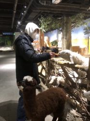 -kidsland(上海环球港店)