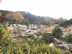 -云龙山