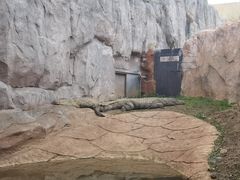-武汉动物园