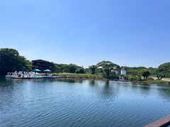 -济州森林小火车生态公园