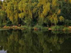 -长春市南湖公园