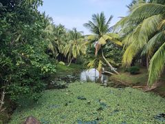 -白沙门生态公园