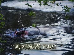 -成都动物园