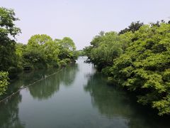 -西湖外事游船(花港观鱼码头)