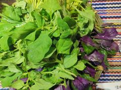 -慢丽江·云南野生菌土鸡锅(付家庄店)