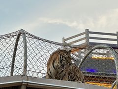-无锡动物园·太湖欢乐园