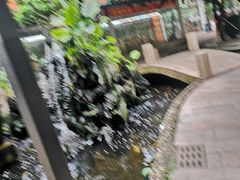 -荔城生鲜盛宴(番禺旗舰店)
