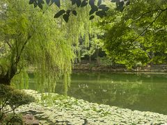 -灵谷景区