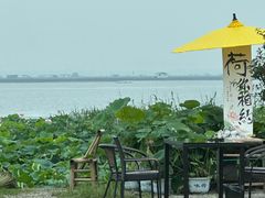 -七的湖·晚芳亭·阳澄湖农家菜·大闸蟹(莲花岛店)