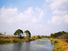 -上海多利农业发展有限公司